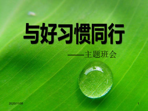 德育主题班会PPT 《与好习惯同行》PPT教学课件