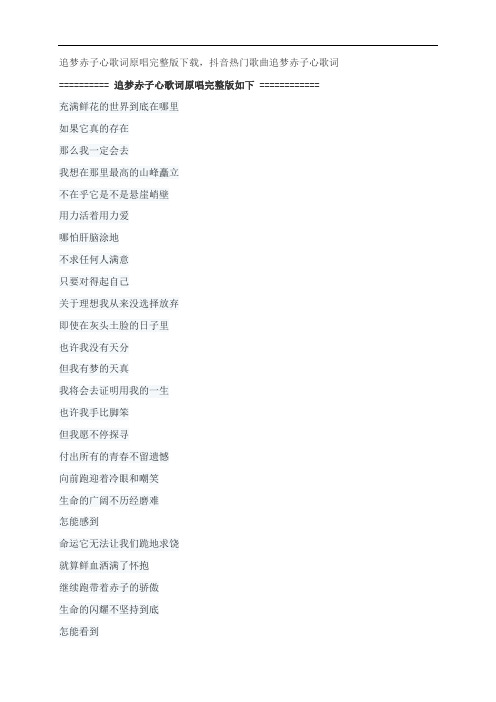 追梦赤子心歌词原唱完整版下载,GALA乐队抖音热门歌曲追梦赤子心歌词