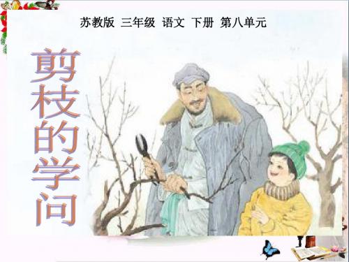 《剪枝的学问》 精品PPT课件(共16张)