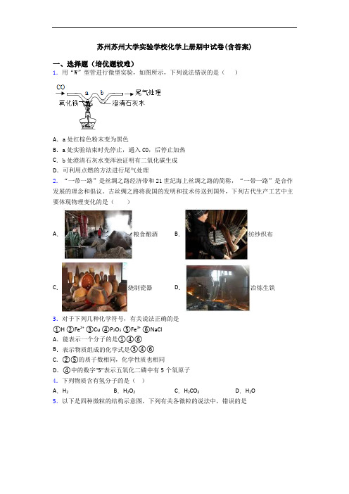 苏州苏州大学实验学校初三化学上册期中试卷(含答案)