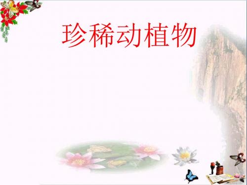 六年级科学上册珍稀动植物ppt课件8青岛版