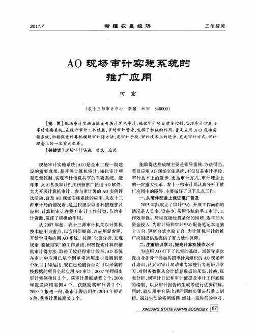 AO现场审计实施系统的推广应用
