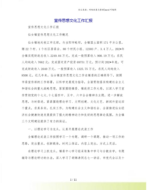 宣传思想文化工作汇报