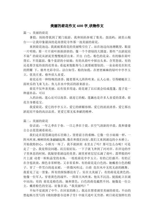 美丽的荷花作文400字_状物作文