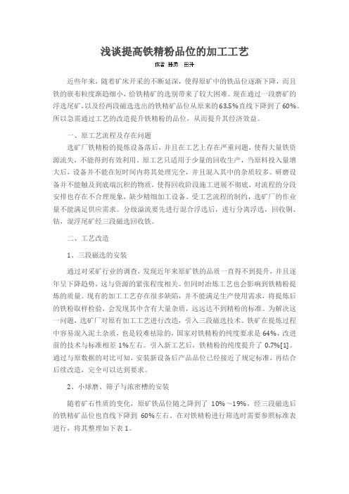 浅谈提高铁精粉品位的加工工艺