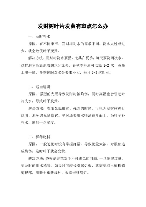 发财树叶片发黄有斑点怎么办