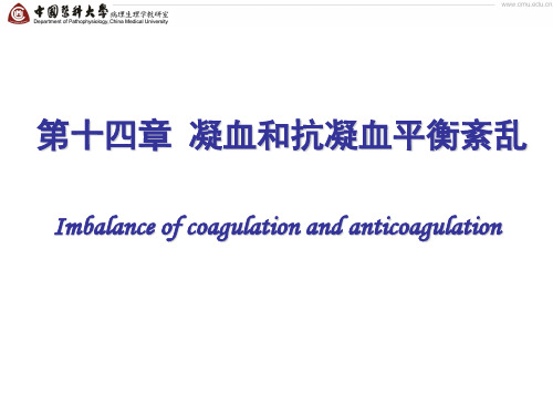 病理生理14 第十四章 DIC
