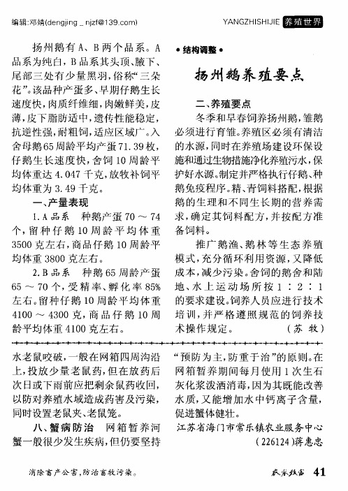 扬州鹅养殖要点
