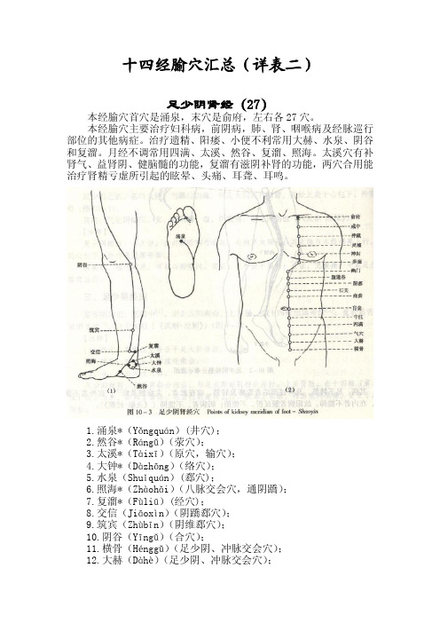 十四经腧穴汇总(详表二)