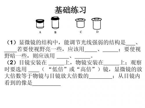 显微镜练习题
