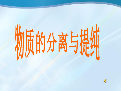 物质的分离与提纯_初三化学课件.ppt