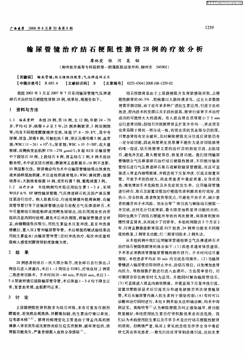 输尿管镜治疗结石梗阻性脓肾28例的疗效分析