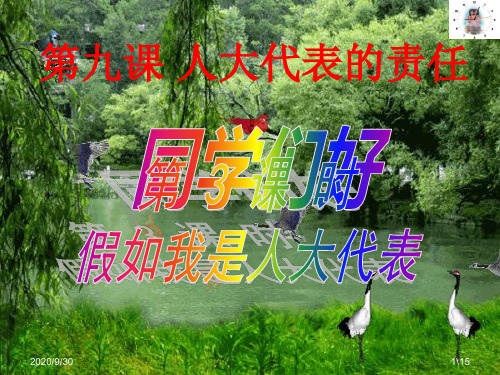 人民版政治九年级(全一册)第九课+《人大代表的责任》+第3课时假如我是人大代表(PPT15张)汇总