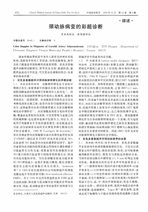 颈动脉病变的彩超诊断