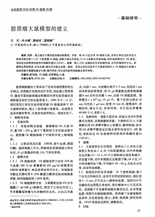 胶质瘤大鼠模型的建立