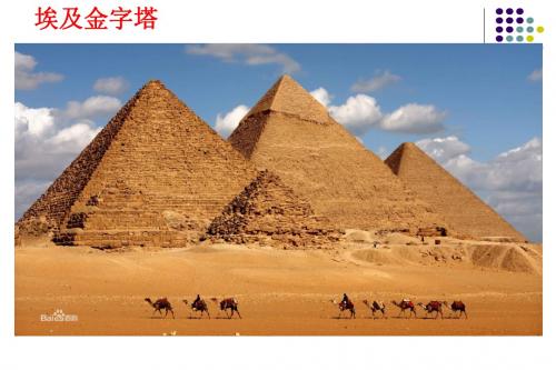 6.2黄金分割