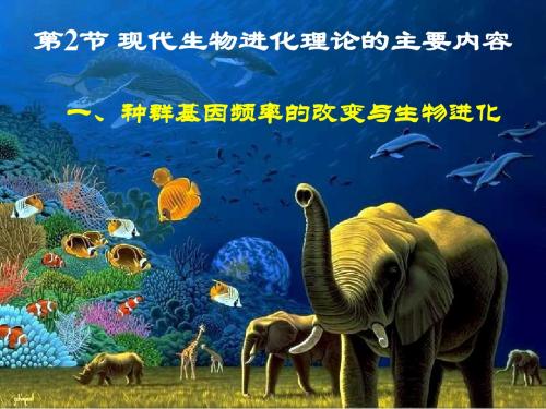 高中生物必修二 第七章  现代生物进化理论的主要内容