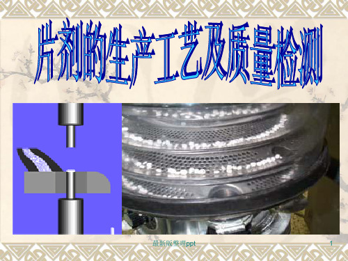 片剂生产工艺ppt课件