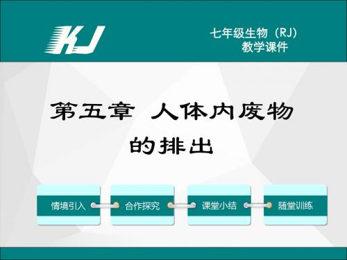 人教版七年级生物下册第五章  人体内废物的排出 教学课件