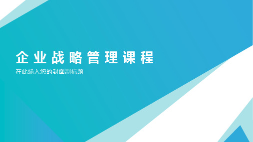 企 业 战 略 管 理 课 程：第五章 战略分类与基本战略