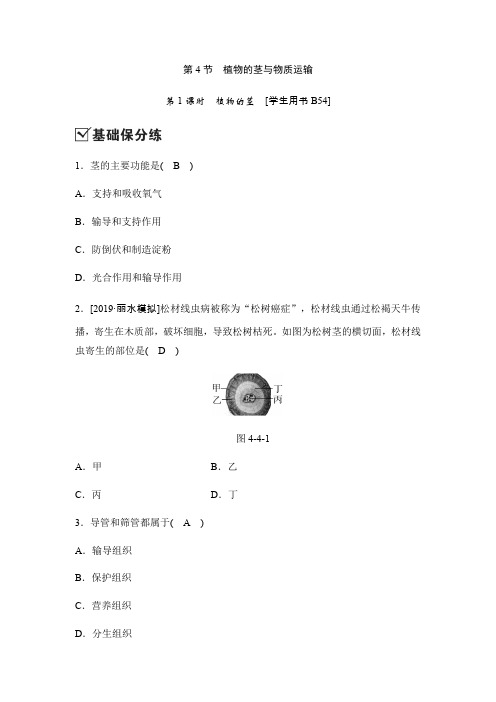 2020新浙教版八年级科学下册同步测试：4.4植物的茎与物质运输