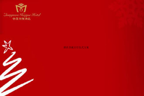 酒店圣诞点灯仪式方案