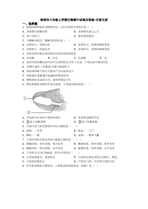 深圳市八年级上学期生物期中试卷及答案-百度文库