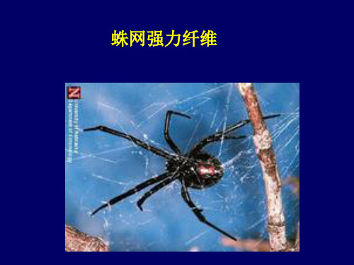 蛛网强力纤维1