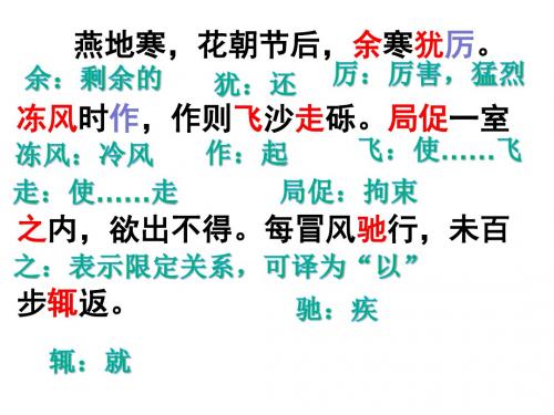 29《满井游记》翻译