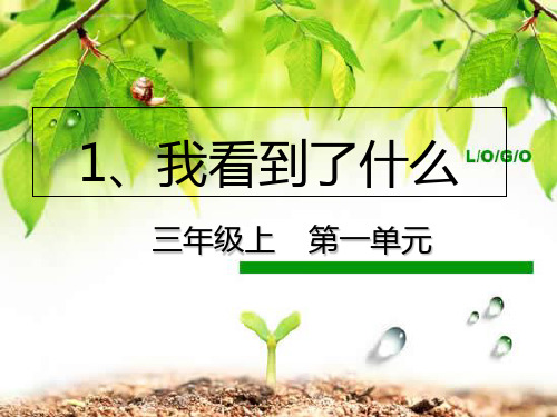 三年级上册公开课-我看到了什么教科版(17张)课件下载