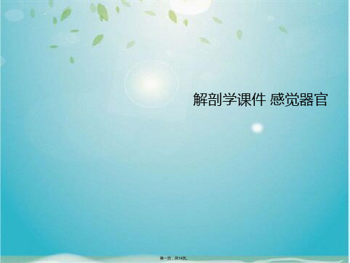解剖学 感觉器官 (共14张PPT)