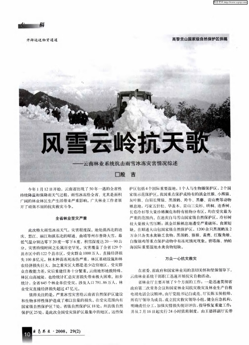风雪云岭抗天歌——云南林业系统抗击雨雪冰冻灾害情况综述