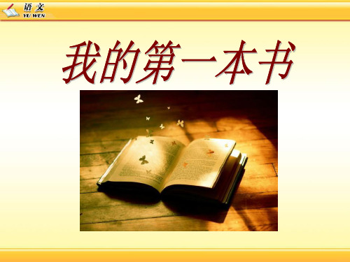 《我的第一本书》PPT课件六