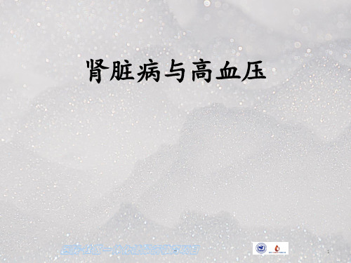 肾脏病与高血压PPT课件