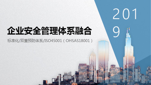 双体系、标准化、OHSAS等多重管理体系如何融合？
