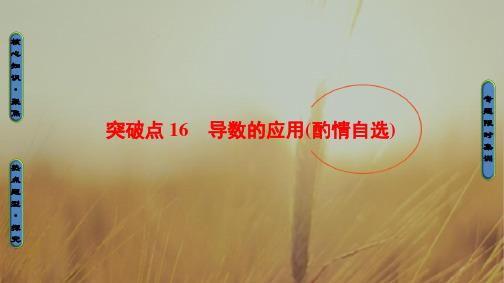 2018届高三文科数学二轮复习课件：第1部分 专题6 突破点16 导数的应用酌情自选 精品
