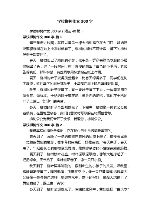 学校柳树作文300字（精选40篇）