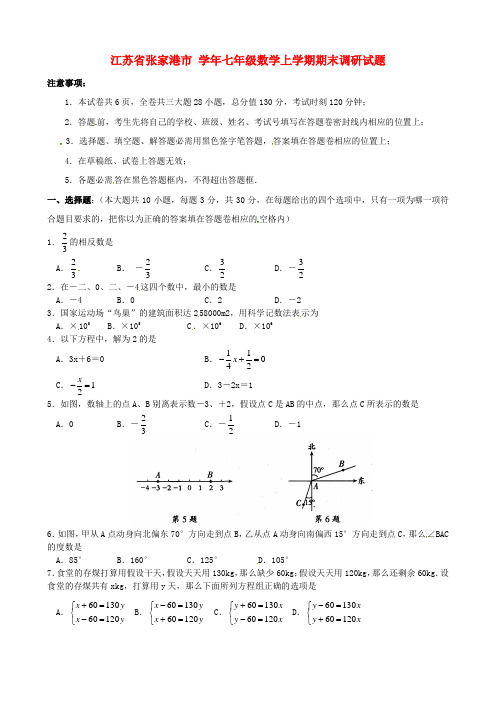 七年级数学上学期期末调研试题