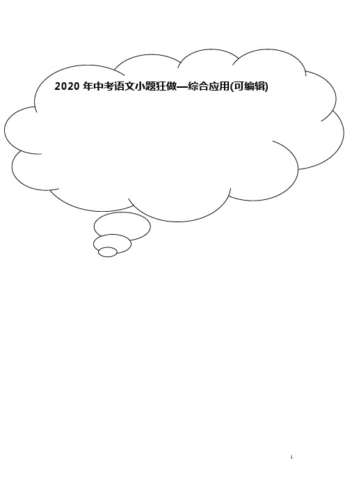2020年中考语文小题狂做—综合应用