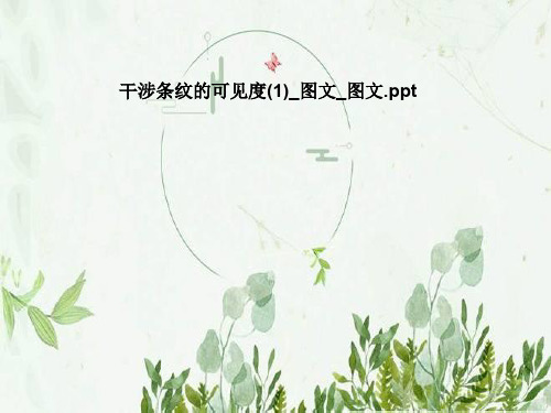 干涉条纹的可见度(1)_图文_图文