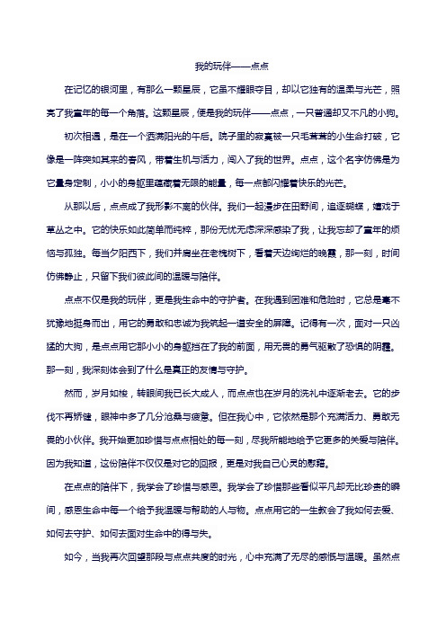 我的玩伴——点点