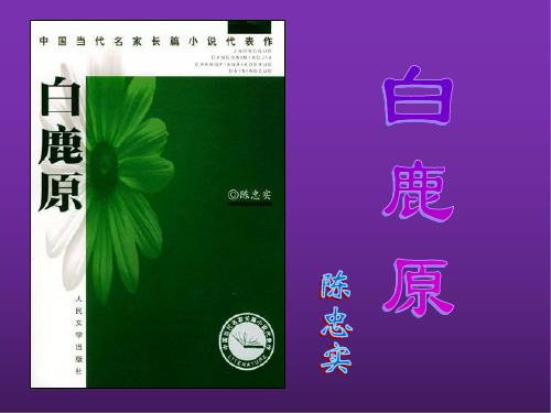 《白鹿原》陈忠实