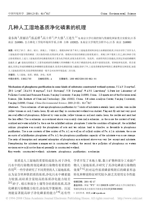 几种人工湿地基质净化磷素的机理