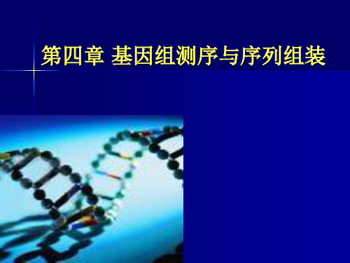 第4章基因组测序与序列组装3+1陈竺