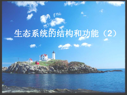 浙教版九年级科学下3.4生态系统的结构和功能教学课件共16张PPT
