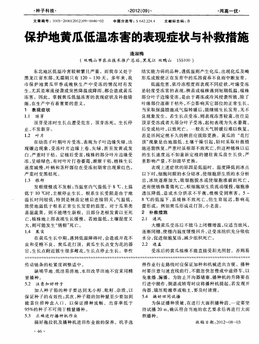 保护地黄瓜低温冻害的表现症状与补救措施