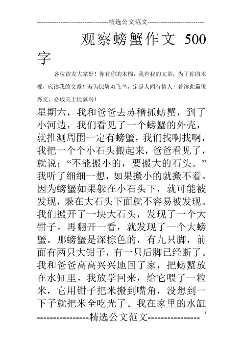 观察螃蟹作文500字