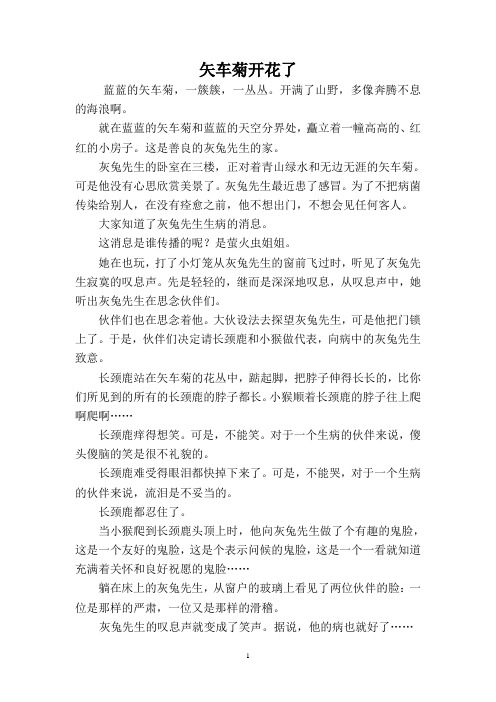 矢车菊开花了