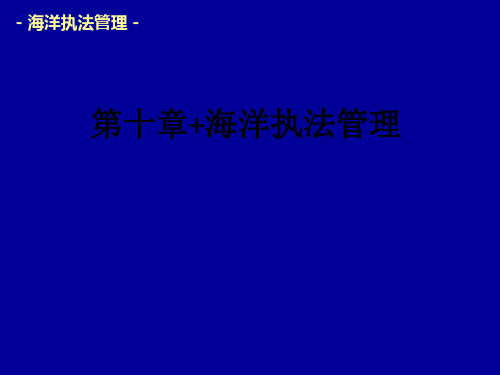 第十章 海洋执法管理ppt课件