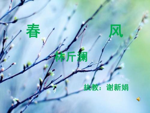 北师大版七年级下册《春风》课件